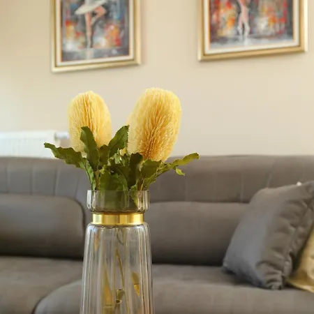 Diamond Limak, The Point Skopje