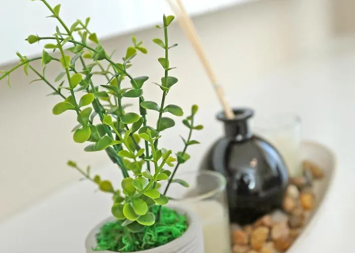 Diamond Limak, The Point Appartamento *