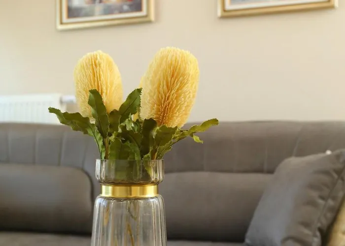 Diamond Limak, The Point Skopje